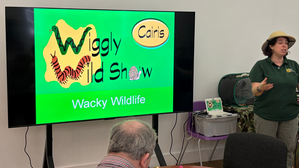 presentation from The Wiggly Wild Show