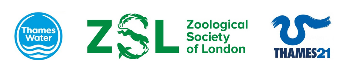 Thames water logo, ZSL logo, and Thames 21 logo