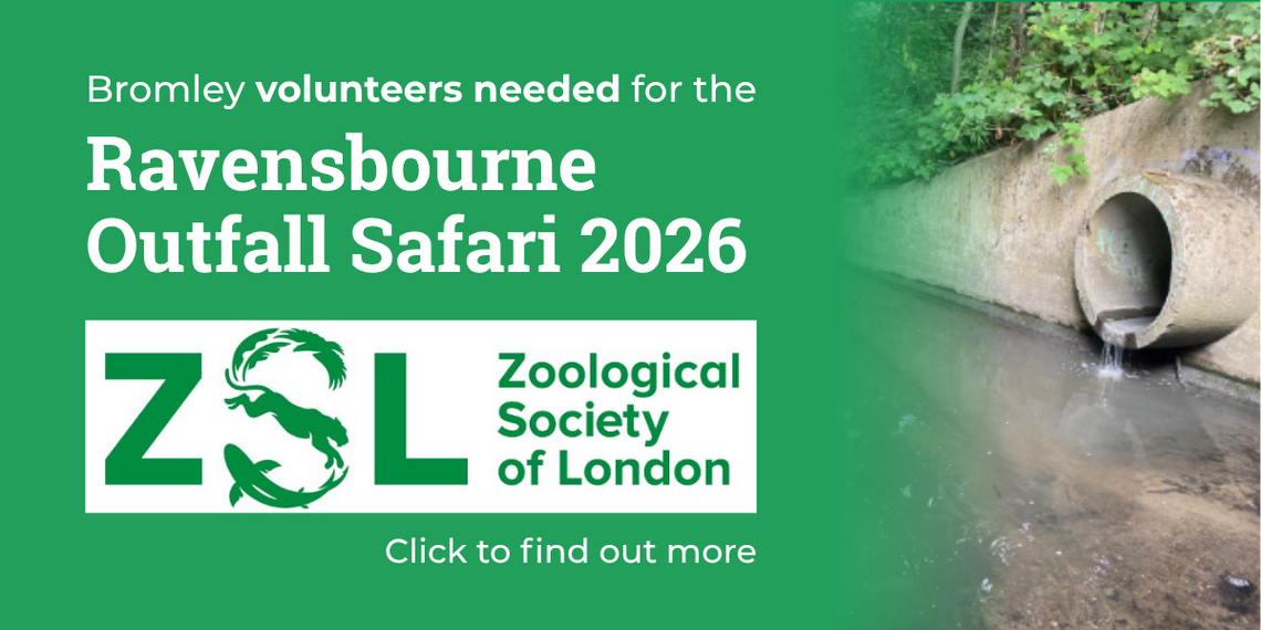 ZSL survey ad